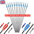 30x Fiberglass Archery Arrows For Compound & Recurve Bow Target Shooting Practice