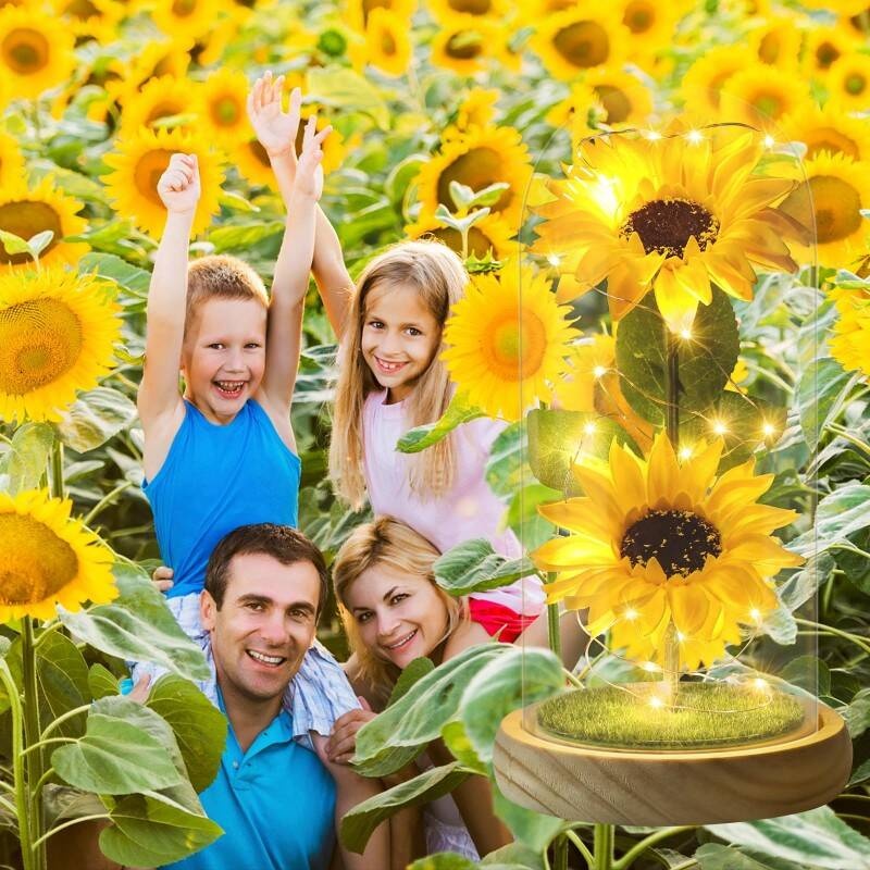 Mothers Day Gifts From Daughter Son, Eternal Sunflowers In Glass Dome With LED Lights & Gift Box, Unique Birthday Gifts For Women, Artificial Flowers Home Decor For Mum, Grandma, Wife - Sunflower Gift